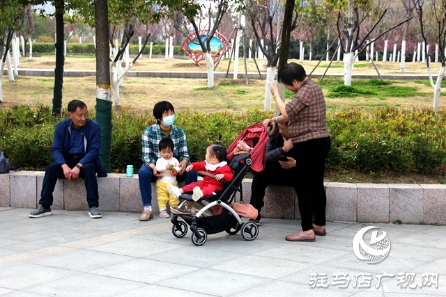 駐馬店開源公園春意正濃 吸引市民踏青健身