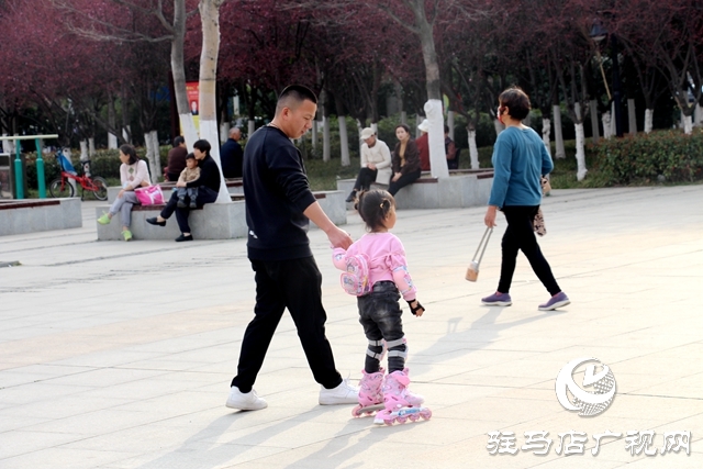 駐馬店開源公園春意正濃 吸引市民踏青健身