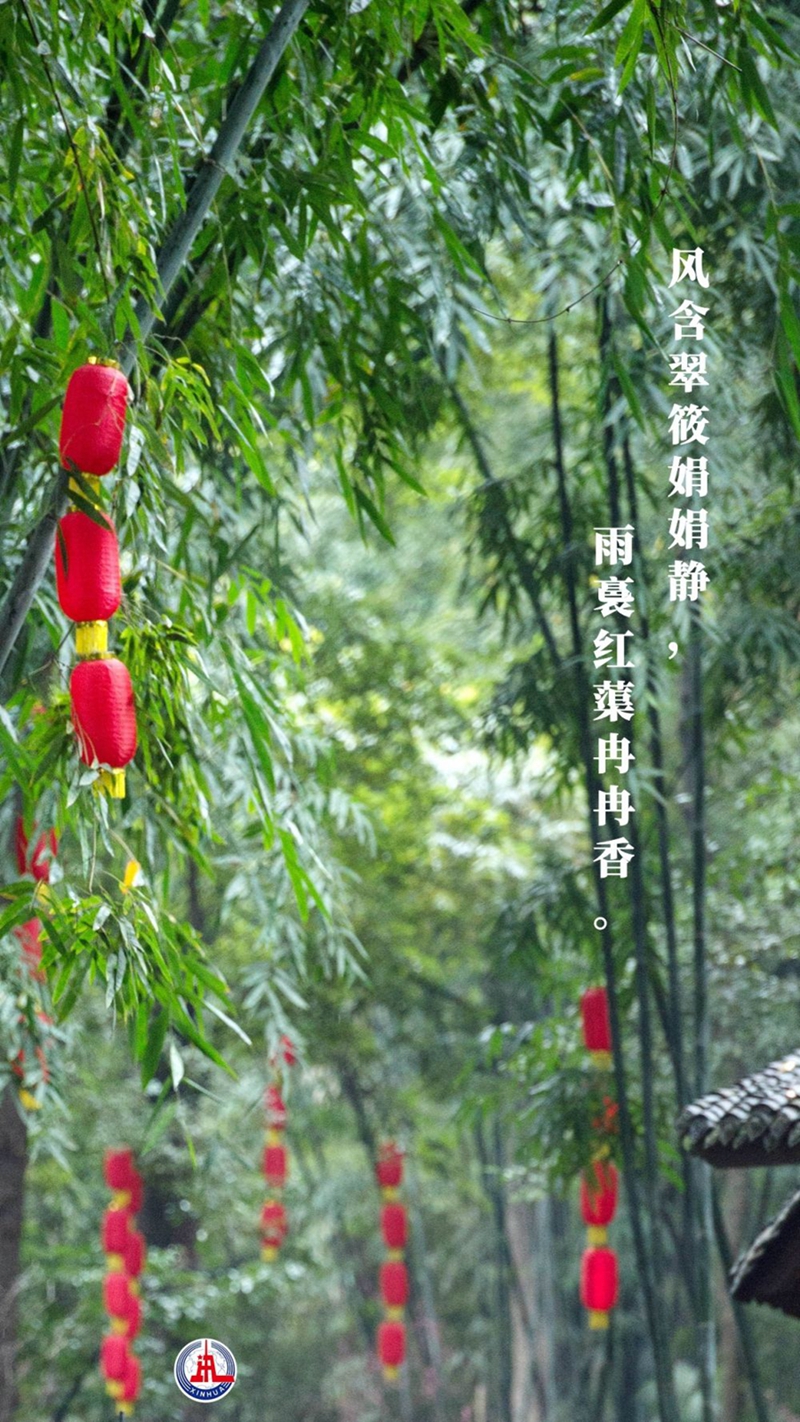 新華全媒+丨植樹(shù)傳統(tǒng)，從古詩(shī)中走來(lái)