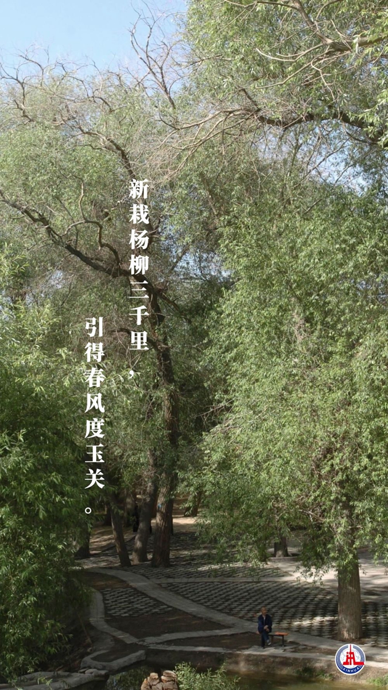 新華全媒+丨植樹(shù)傳統(tǒng)，從古詩(shī)中走來(lái)