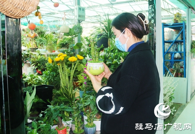 春暖花開添新綠 花卉市場人氣旺