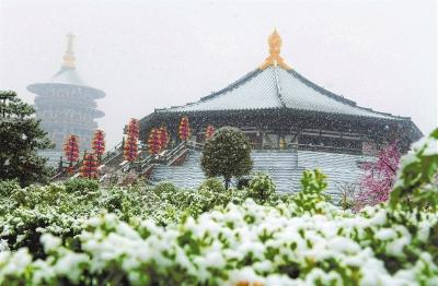 雪落中原氣象新 小麥正處于拔芽期 生產(chǎn)要注意什么