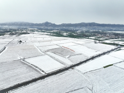 預(yù)計(jì)可以緩解4000萬畝小麥旱情！這場(chǎng)“及時(shí)雨”幫河南節(jié)省10億元灌溉費(fèi)