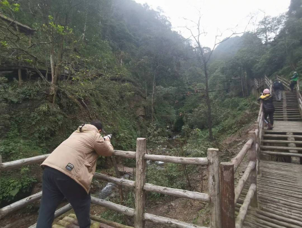 峨眉山猴子被拘留？假的！峨眉山猴子是國家二級保護動物