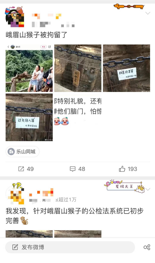 峨眉山猴子被拘留？假的！峨眉山猴子是國家二級保護動物