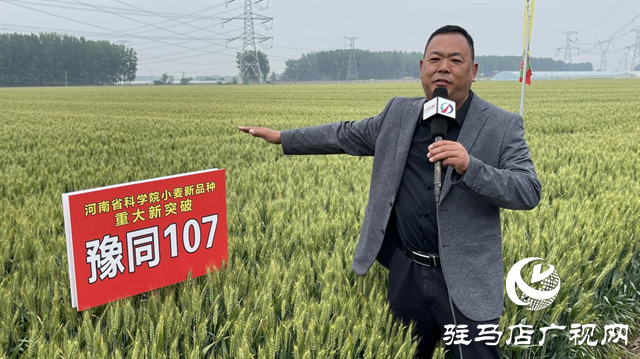 引領小麥新方向！噸源種業(yè)2023年豫同107觀摩會隆重召開