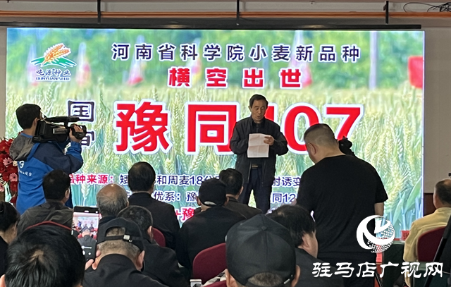 引領(lǐng)小麥新方向！噸源種業(yè)2023年豫同107觀摩會隆重召開