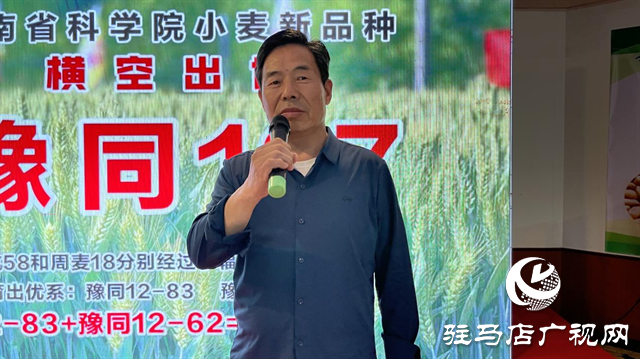 引領小麥新方向！噸源種業(yè)2023年豫同107觀摩會隆重召開