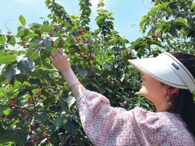 5·19中國旅游日將至，免票、半價......鄭州各大景區(qū)優(yōu)惠政策出爐