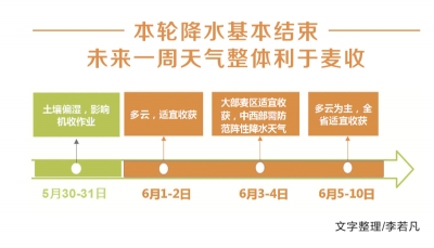 全力以赴戰(zhàn)“三夏”丨堅決打好打贏夏收工作攻堅戰(zhàn)