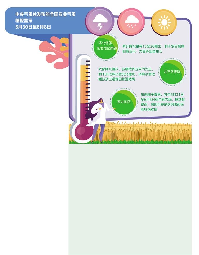 麥?zhǔn)赵庥?ldquo;最嚴(yán)重的一次陰雨”——河南全力搶收夏糧