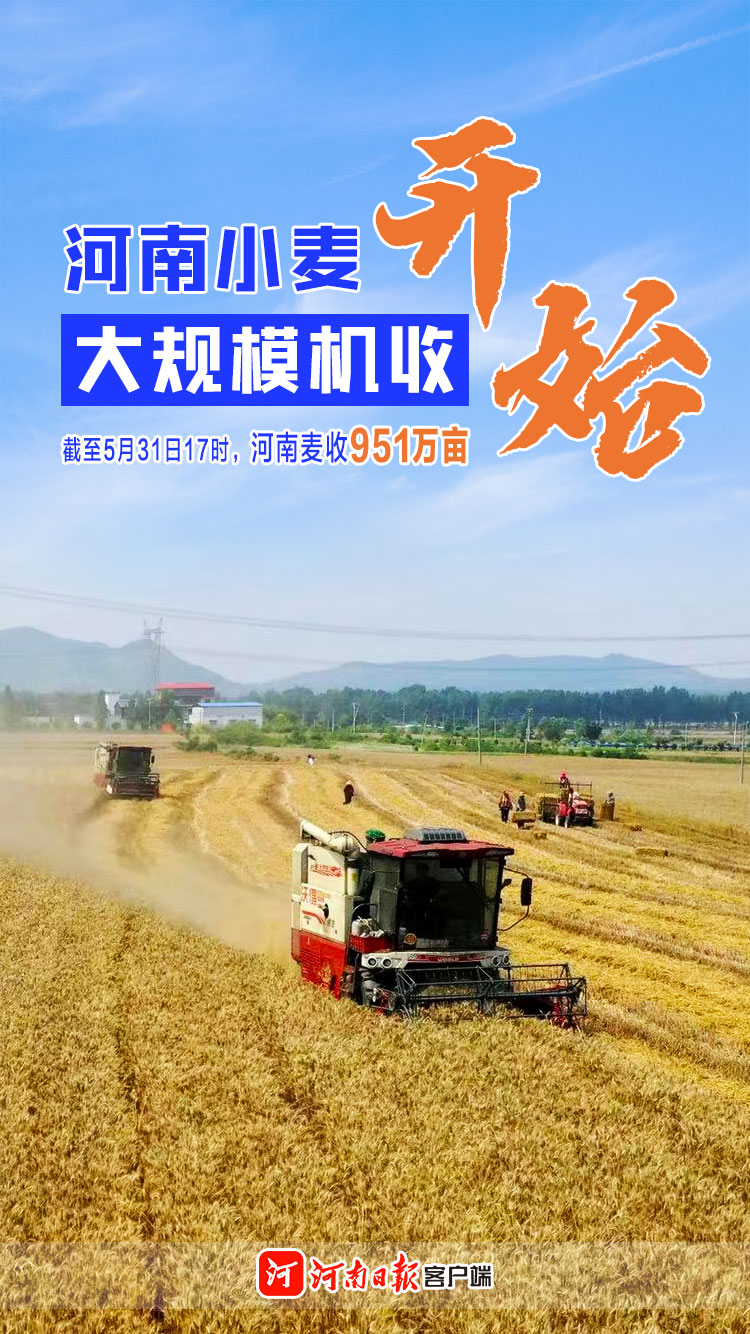 全力以赴戰(zhàn)“三夏”丨河南小麥迎來機(jī)收大會戰(zhàn)