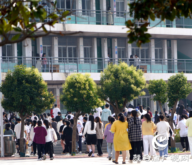  泌陽高考首日！多圖直擊……