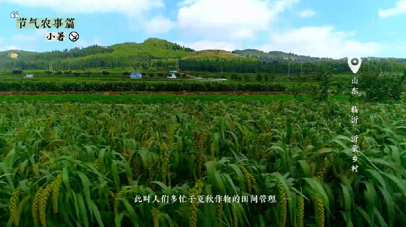 小暑——盛夏伊始，萬(wàn)物蔥郁