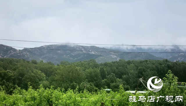 泌陽(yáng)縣馬谷田鎮(zhèn)河南村：“直播帶貨”帶起產(chǎn)業(yè)發(fā)展新模式