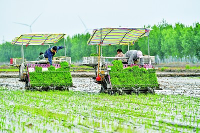 制造業(yè)城市的農(nóng)業(yè)“突圍”