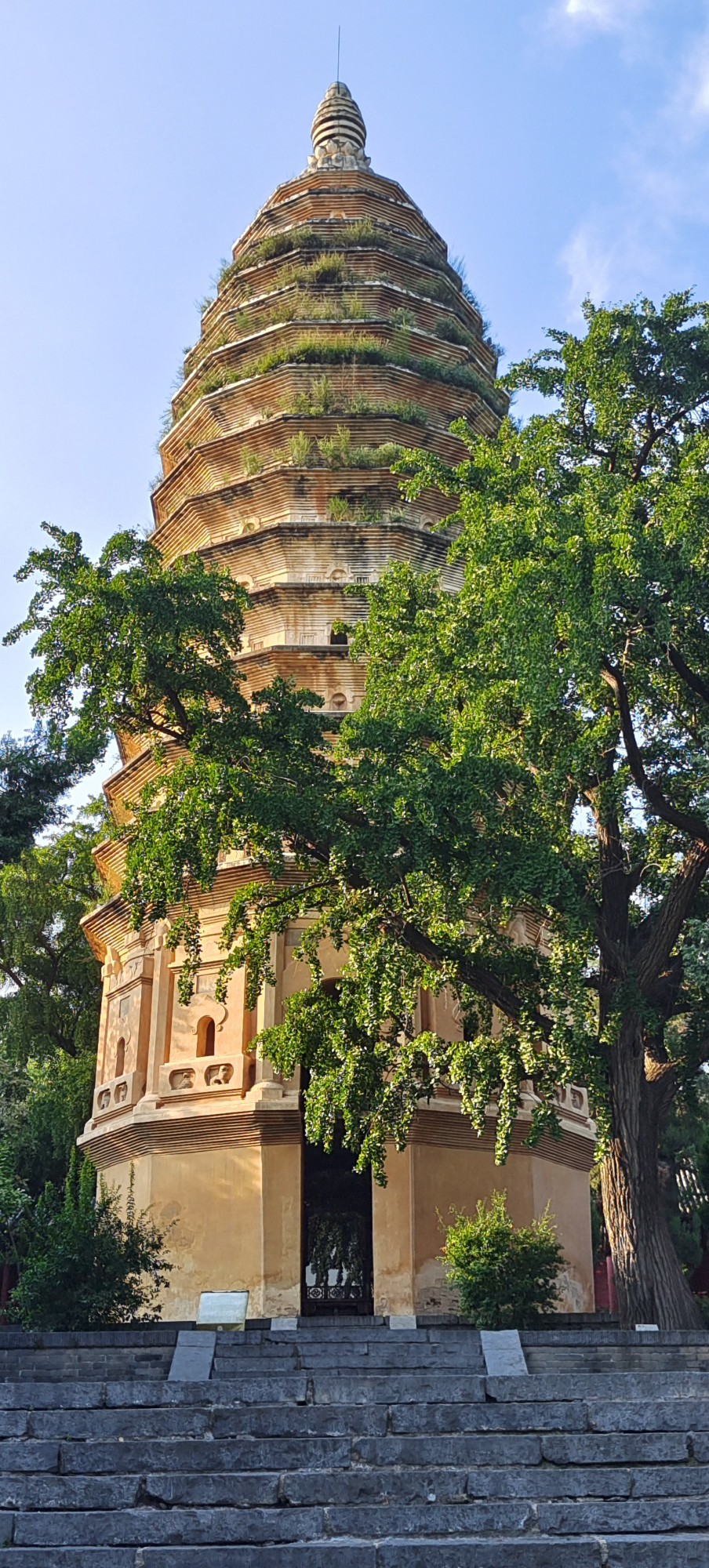 行走河南·讀懂中國(guó)丨“華夏第一塔”嵩岳寺塔：居天地之中 獨(dú)守千年孤獨(dú)