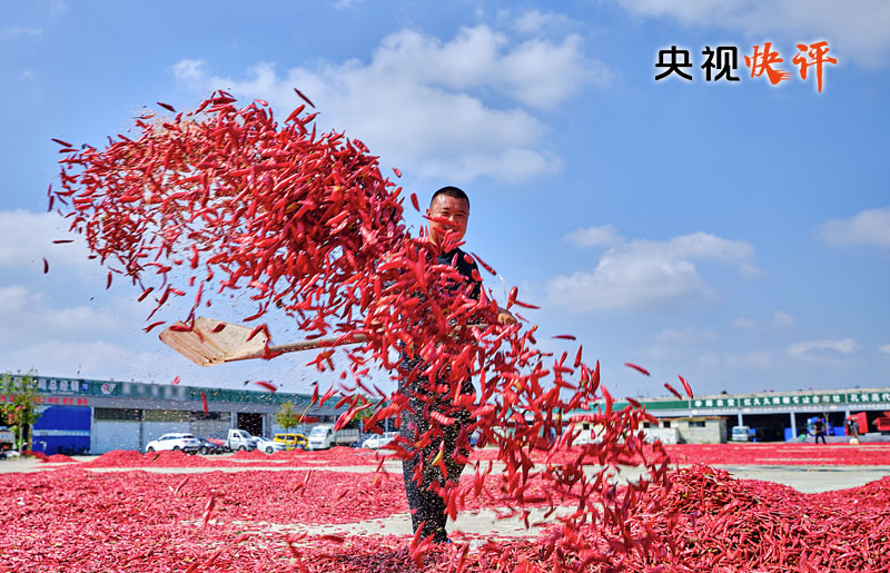 【央視快評(píng)】讓農(nóng)民腰包越來(lái)越鼓、生活越來(lái)越美好——慶祝第六個(gè)“中國(guó)農(nóng)民豐收節(jié)”