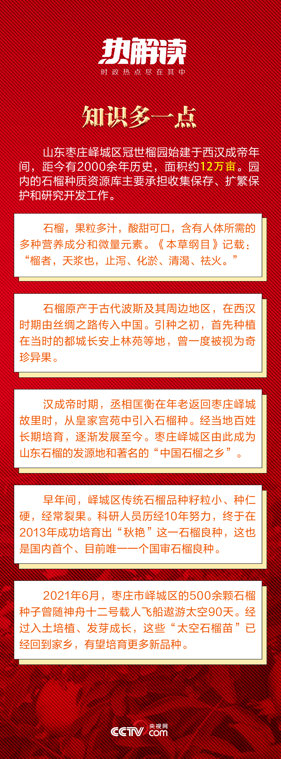 熱解讀｜火紅石榴如何帶來紅火生活 總書記再談這篇“大文章”