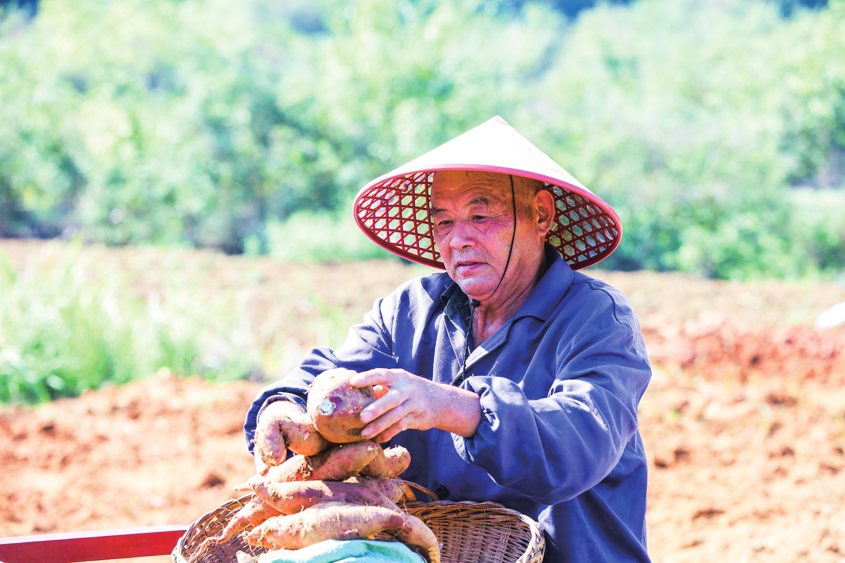 金秋時(shí)節(jié)好豐光