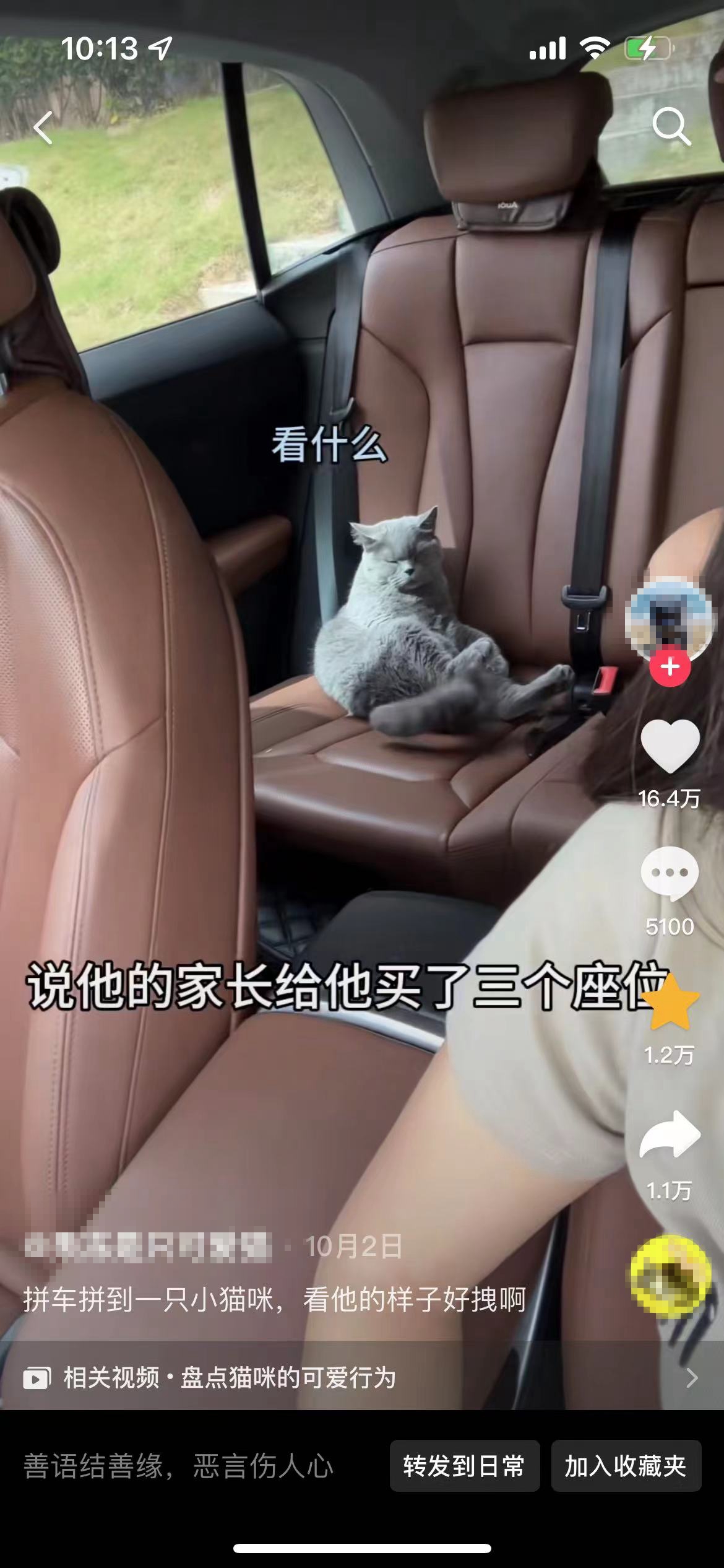 順風車亂象：起猛了，拼車拼到狗子