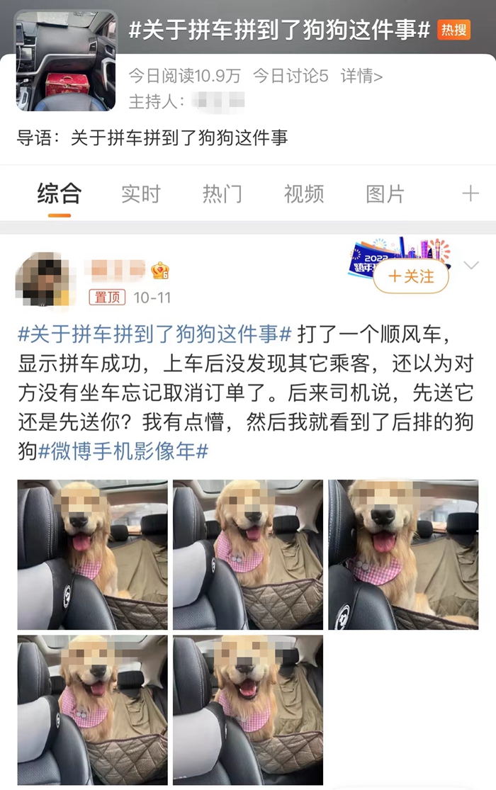 順風車亂象：起猛了，拼車拼到狗子