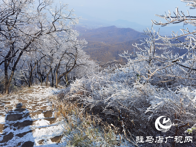 【組圖】駐馬店金頂山：漫山玉樹瓊枝如夢(mèng)如畫