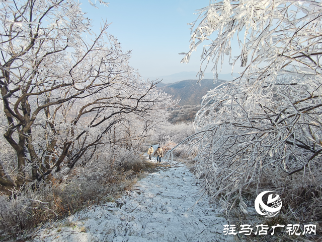 【組圖】駐馬店金頂山：漫山玉樹瓊枝如夢(mèng)如畫