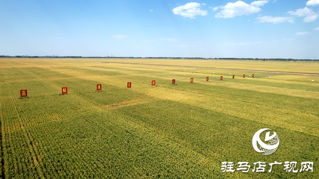 西平縣：生態(tài)顏值靚 文旅后勁足