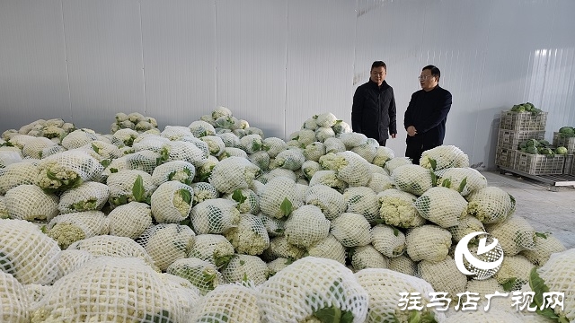 平輿縣萬金店鎮(zhèn)：“有機花菜”為三園建設(shè)“錦上添花”