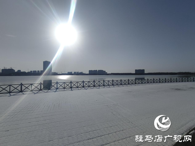 新蔡縣：“五湖四帶”披銀裝 雪中風景美如畫