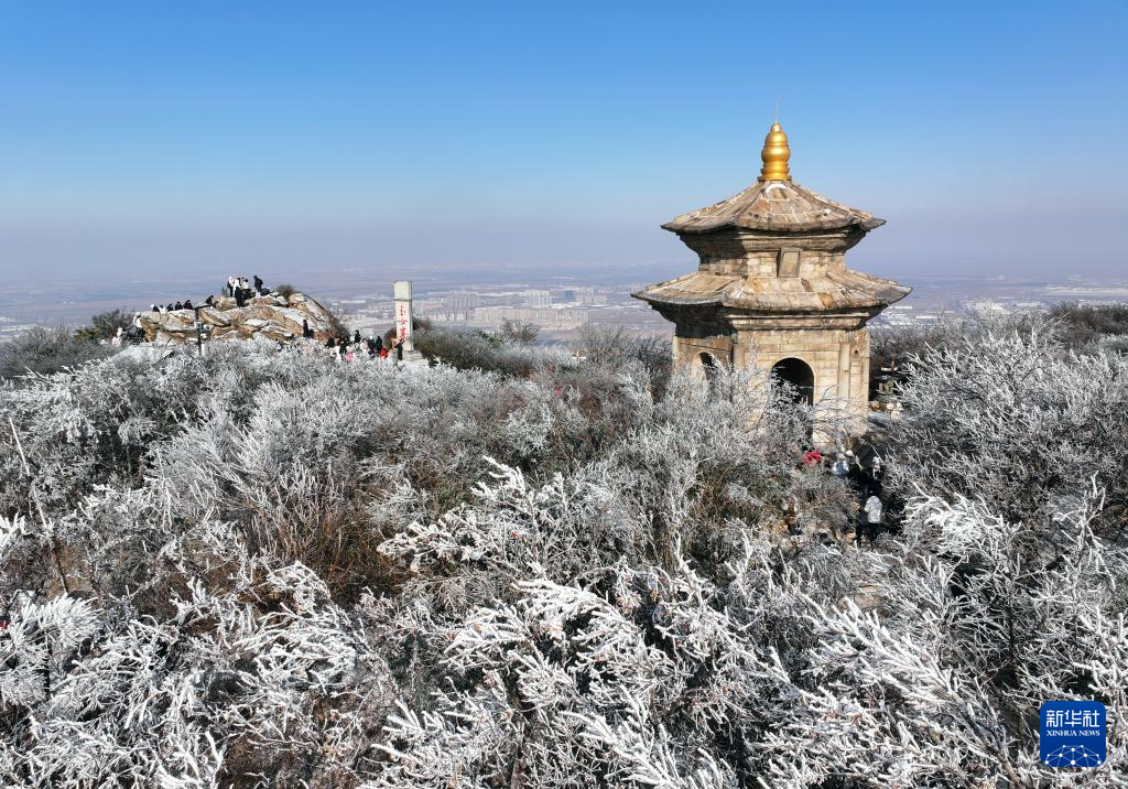 詩(shī)意中國(guó)丨不知庭霰今朝落，疑是林花昨夜開(kāi)