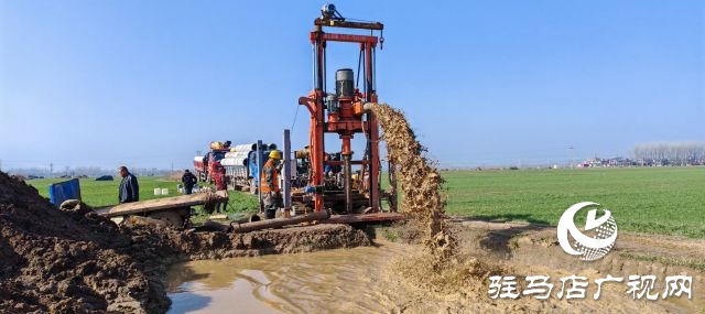 平輿縣：高標準農(nóng)田建設讓每一寸耕地都成為豐收沃土