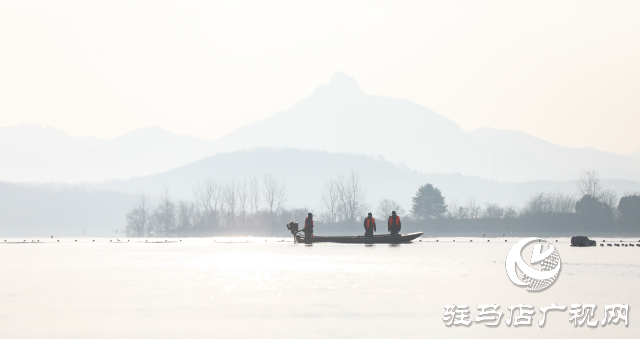 泌陽縣：魚躍人歡冬捕忙 喜迎新春好“豐”景