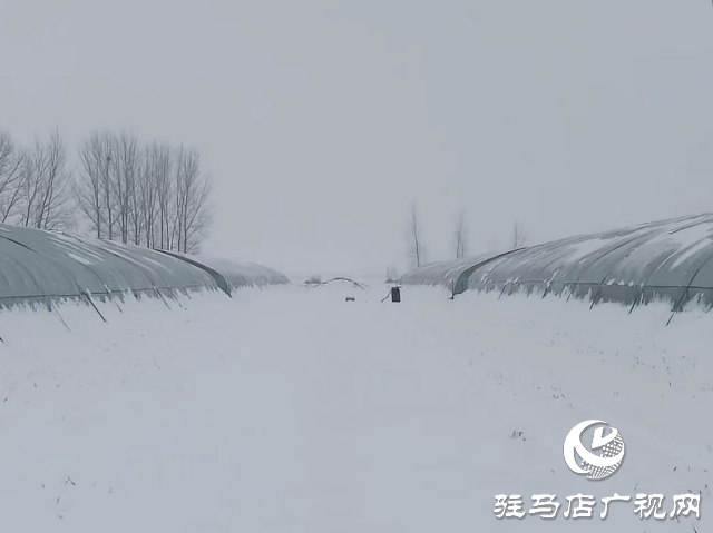 無人機助力農(nóng)業(yè)大棚除雪