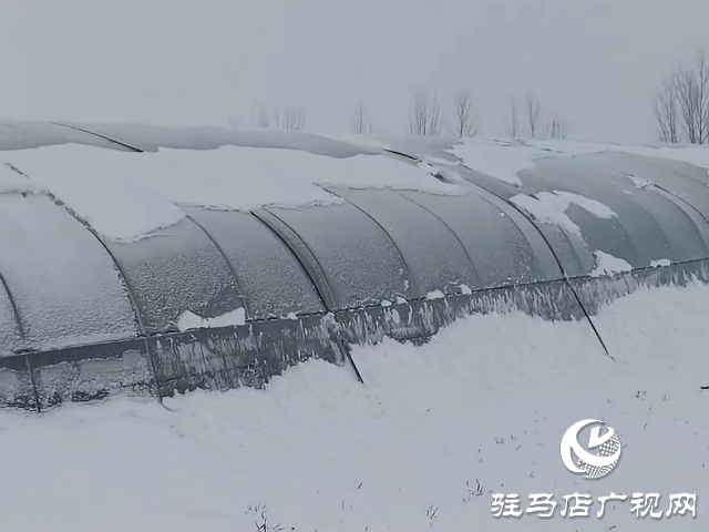 無人機助力農(nóng)業(yè)大棚除雪