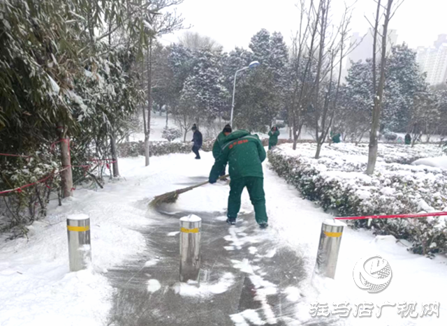 遂平縣園林綠化中心：除雪護綠 全力保障市民安全游園