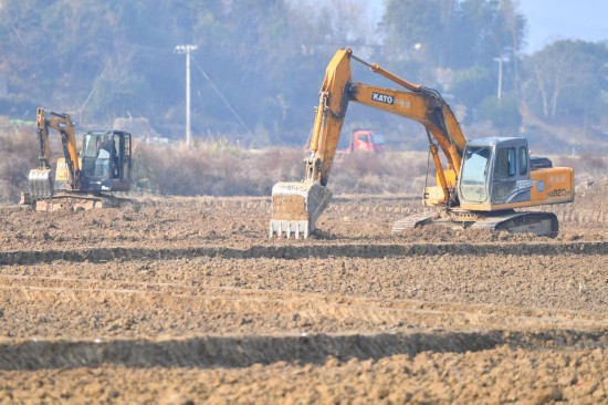 今年財政將加力補助高標(biāo)準農(nóng)田建設(shè)