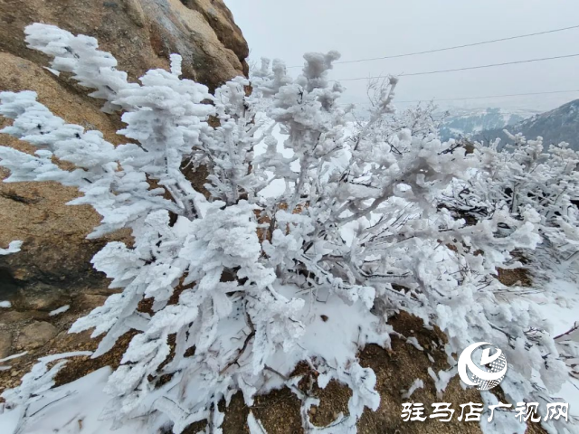 美呆了！羅漢山開啟雪凇、霧凇雙景齊現(xiàn)模式