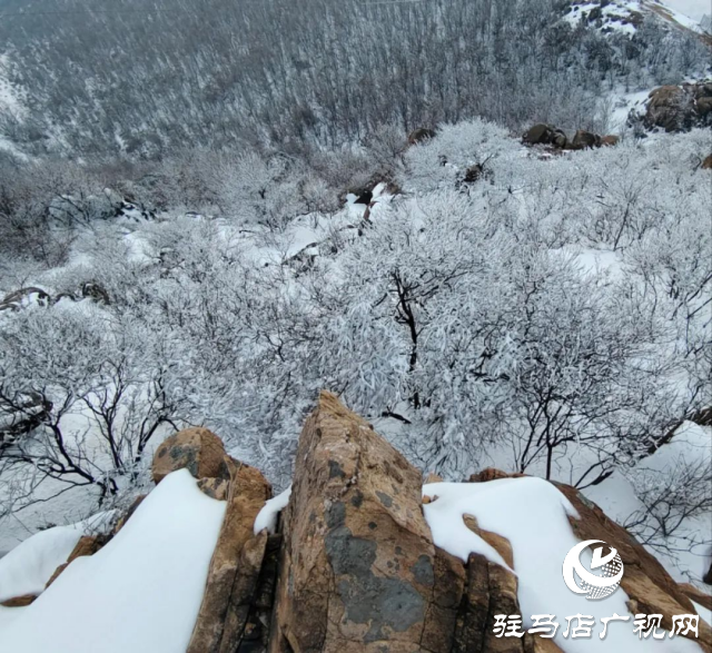 美呆了！羅漢山開啟雪凇、霧凇雙景齊現(xiàn)模式