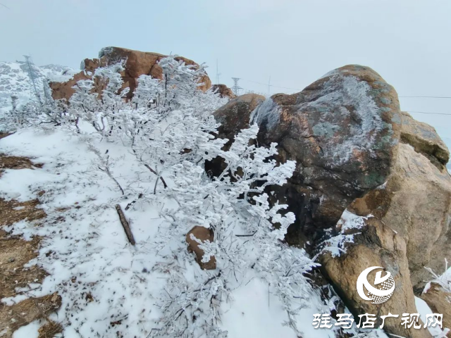 美呆了！羅漢山開啟雪凇、霧凇雙景齊現(xiàn)模式