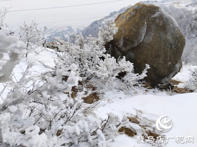 美呆了！羅漢山開啟雪凇、霧凇雙景齊現(xiàn)模式