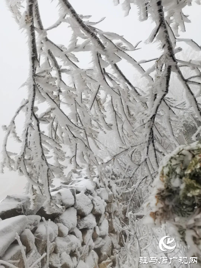 美呆了！羅漢山開啟雪凇、霧凇雙景齊現(xiàn)模式