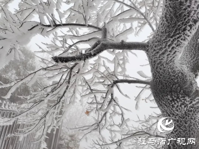 美呆了！羅漢山開啟雪凇、霧凇雙景齊現(xiàn)模式