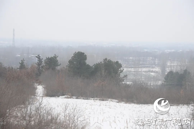 盤古山：晨起開門雪滿山 雪晴云淡日光寒