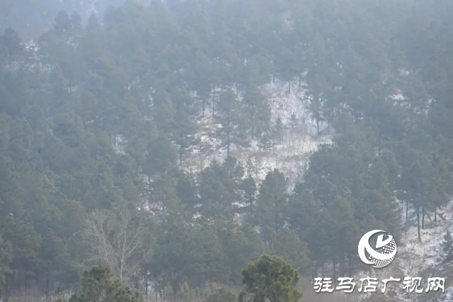 盤古山：晨起開門雪滿山 雪晴云淡日光寒