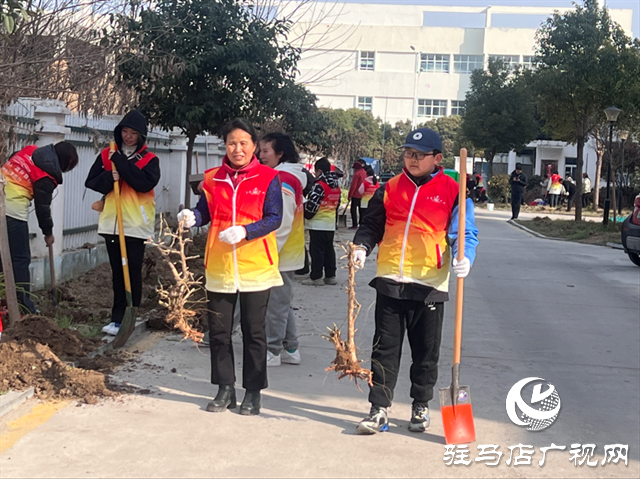 駐馬店天中義工組織開(kāi)展義務(wù)植樹(shù)活動(dòng)