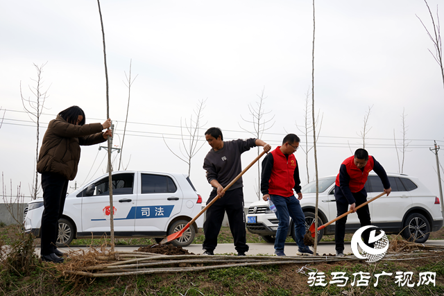 新蔡縣河塢鄉(xiāng)：植樹添新綠 鄉(xiāng)村“靚”起來