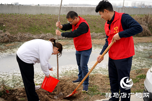 新蔡縣河塢鄉(xiāng)：植樹添新綠 鄉(xiāng)村“靚”起來