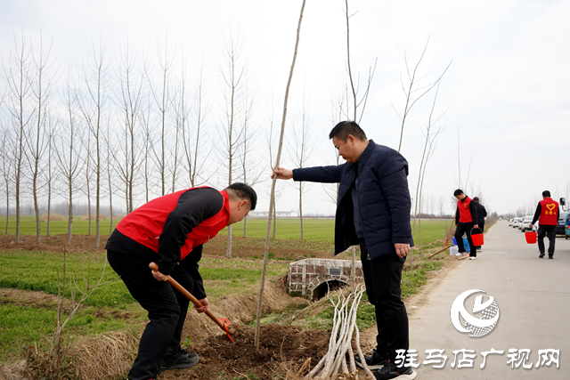 新蔡縣河塢鄉(xiāng)：植樹添新綠 鄉(xiāng)村“靚”起來